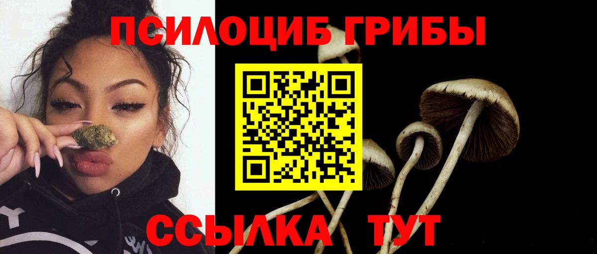 Тавда  Псилоцибиновые грибы Psilocybe  Вход с VPN  Псилоцибиновые грибы мицелий 